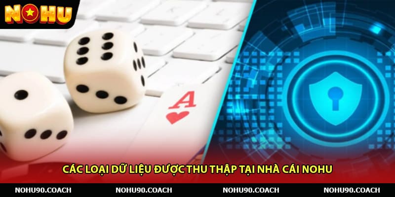 Các loại dữ liệu được thu thập tại nhà cái Nohu